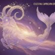Capricorne : Horoscope du 13.12.2025
