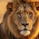 Quelle est la force secrète du Lion que peu de gens connaissent