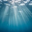 Quelle est la force secrète du Poissons que peu de gens connaissent