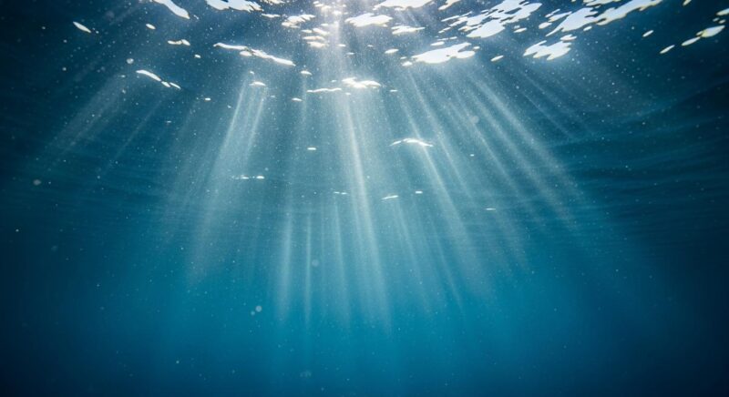 Quelle est la force secrète du Poissons que peu de gens connaissent