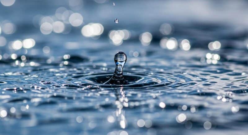 Pourquoi les signes d'eau sont les plus intuitifs du zodiaque et ressentent tout