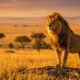 Ce qui énerve vraiment un Lion et comment éviter les conflits