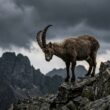 Quel est le pire ennemi du Capricorne parmi les 12 signes du zodiaque