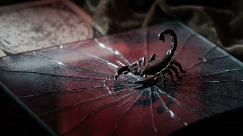 Ce qui fait fuir un Scorpion définitivement sans espoir de retour