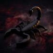 Le Scorpion est-il vraiment un signe dangereux comme on le dit